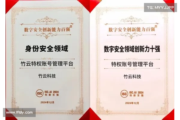 SC奖项2024 异常安全